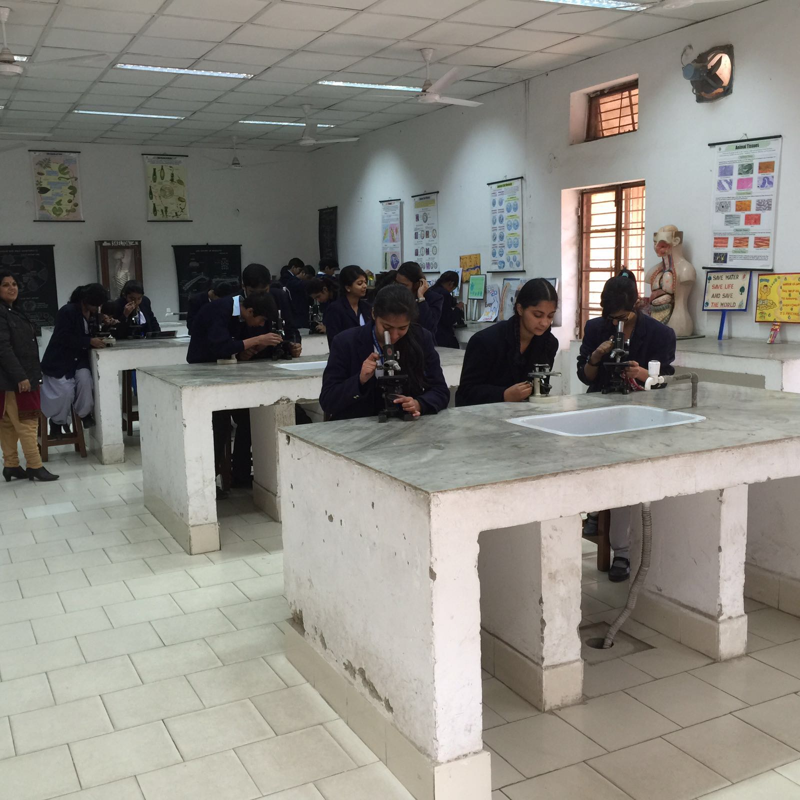 SCHOOL BIOLOGY LAB
