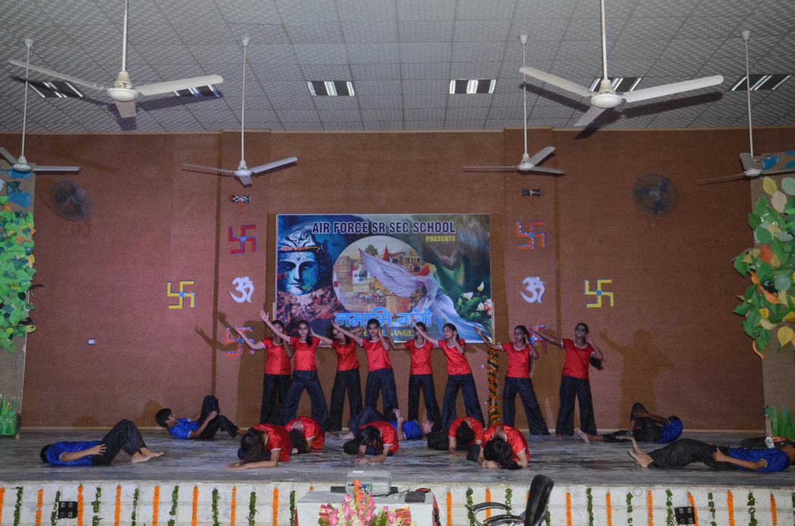 DSC_0494 (FILEminimizer)
